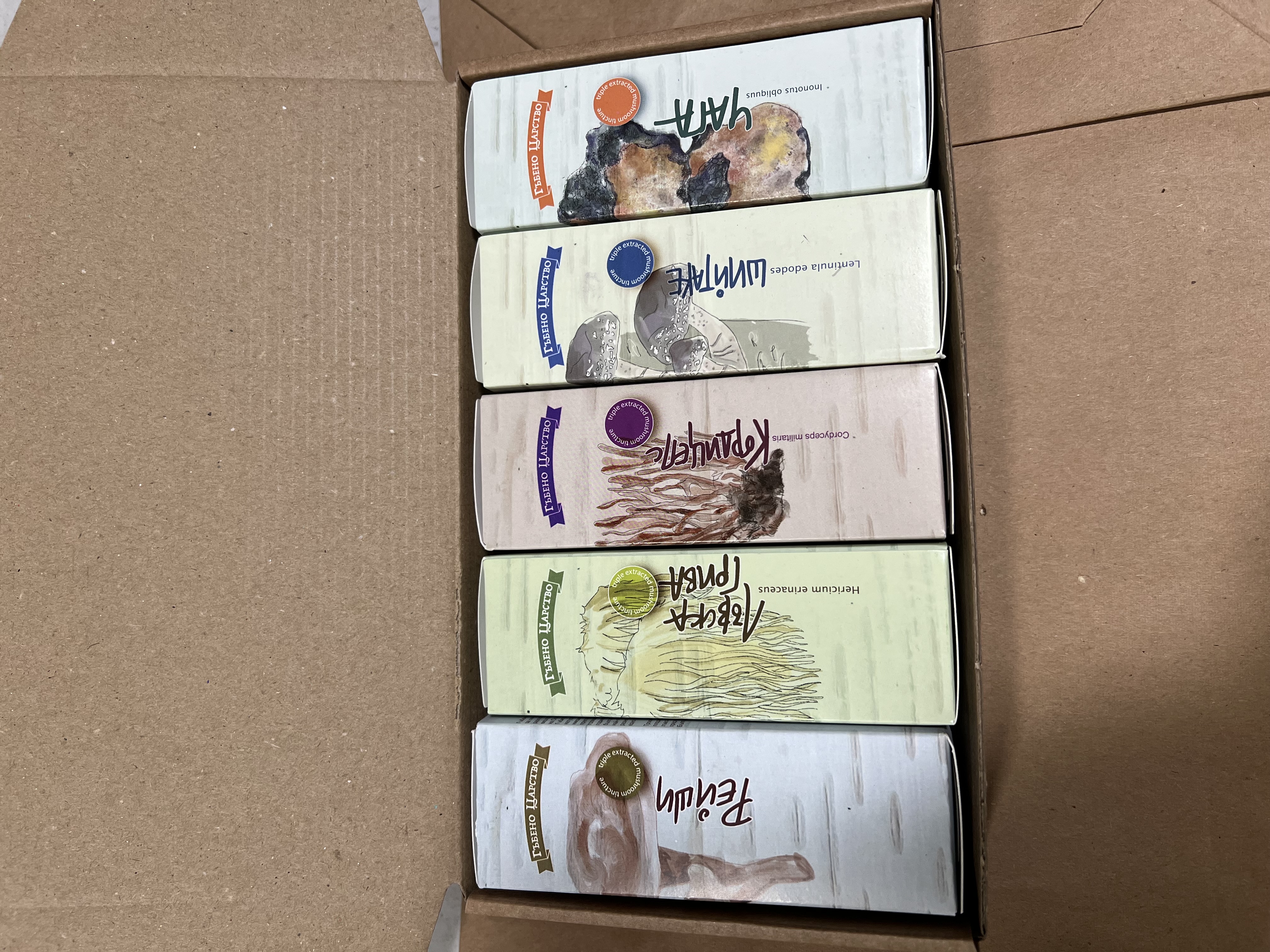 Силата на синергията: Пълно ръководство за комбиниране на тинктури от лечебни гъби