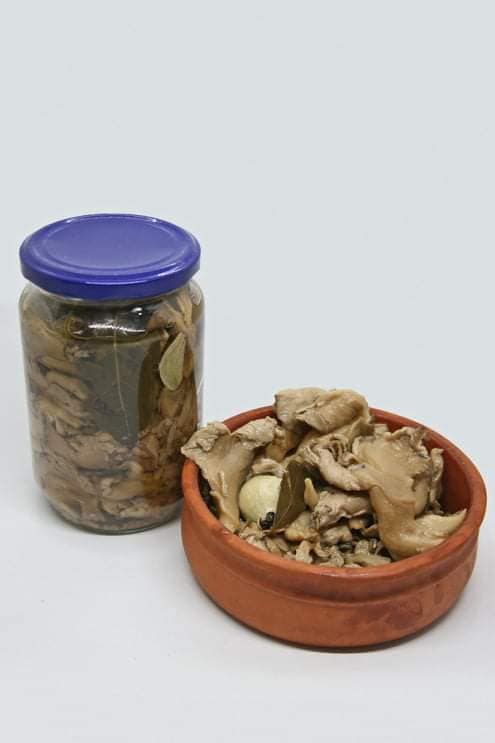 Blanched Oyster Mushroom