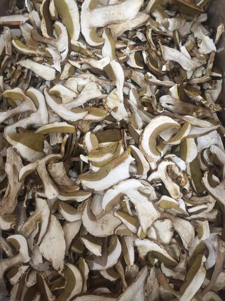 Dried Button Mushroom