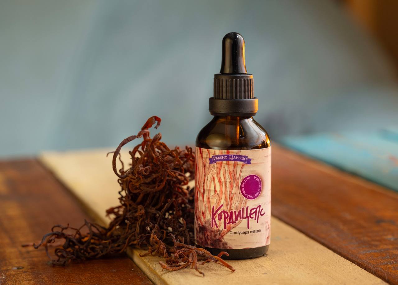 Cordyceps Tincture